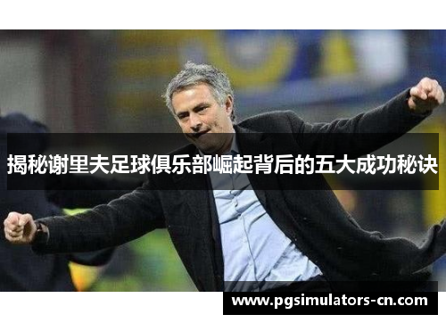 揭秘谢里夫足球俱乐部崛起背后的五大成功秘诀 揭秘谢里夫足球俱乐部崛起背后的五大成功秘诀