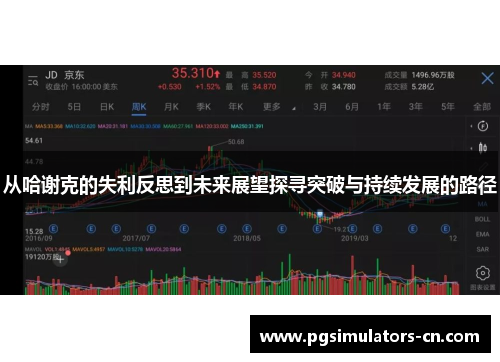 从哈谢克的失利反思到未来展望探寻突破与持续发展的路径 从哈谢克的失利反思到未来展望探寻突破与持续发展的路径