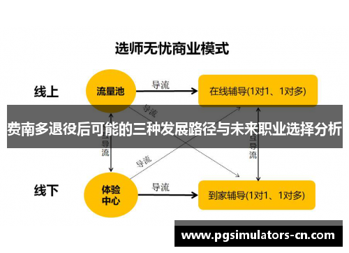 费南多退役后可能的三种发展路径与未来职业选择分析