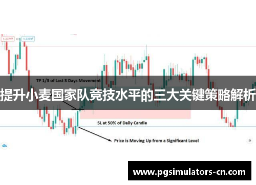 提升小麦国家队竞技水平的三大关键策略解析