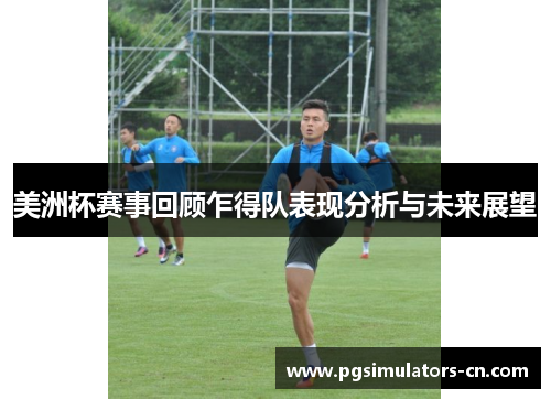 美洲杯赛事回顾乍得队表现分析与未来展望